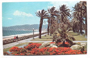 Vintage 1960's PALISADES PARK Santa Monica CA Photo Postcard