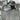 Vtg RARE B&W Portrait of ELVIS PRESLEY Singing In BMW Isetta 300 Car Photo #271