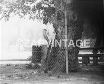 Vtg 1980s Black & White Guy Secretly Peeing Behind A Tree Photo Gay Interest 453
