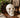 New Anatomical Human Skull Labeled Bones Medical Halloween Figurine Decor