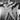 Vtg RARE B&W Portrait of ELVIS PRESLEY In Concert Live On stage Photo #650