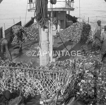 Vintage 1900s On The Deck OF An Oyster Bay Chesapeake Bay Photo #2811