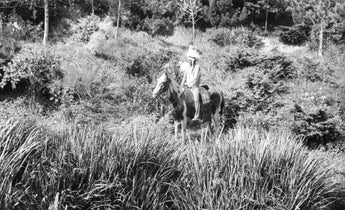 VTG 1940 - 1950's Photo - Native American Indian (Chief) Riding Horse In Field