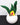 New Retro Contemporary Felt Fake Succulent Cactus Home Office Plant - Green