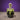 New Halloween Spooky Green Black Cauldron W/ Skeleton Hand and Eyeball Stew
