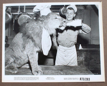 Vintage 1973 Fearless Fagan Movie Press Kit Photo