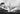 Vtg B&W Dog Girl Carnival Circus Freak Show Human Oddities PHOTO #369