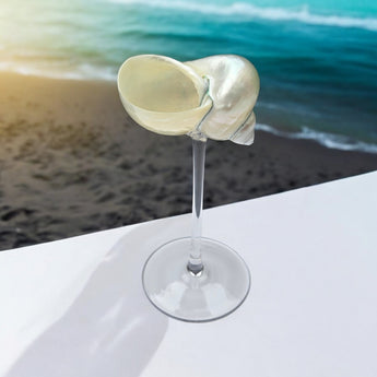 New Sea Shell Beach Champagne Flute Wine Glass Wine Clam Mothers Day Gift
