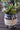 Rustic Industrial ARTIFICIAL Succulent Arrangement Garden GLASS JAR Planter