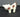 Vtg MCM CALIFORNIA CA Pottery - Miniature Cow Animal Figurine #253