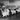 Vtg 1920's - 1930's BETA PHI Frat Photo (Formal Sit Down Dinner) Cheer Room #297