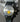 Men's Luxury Sport Watch Collection Curren Chronograph Quartz In Black (#57)