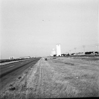 Vtg 1955 Small Farm Town (Cows, Pigs) Kansas Photo #1463