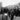 Vintage 1940s - 1950s Black & White Photo - Group Of Men Gangsters Celebration