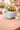 New Ceramic Indoor / Outdoor Blue Seal Animal Ocean Flower Planter Pot