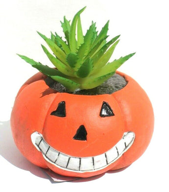 NEW Orange Happy Smiling Halloween Pumpkin Ceramic Planter Plot W/ Succulents