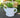 Watering Can Artificial Industrial Concrete Succulent Plant Desktop Floral Decor