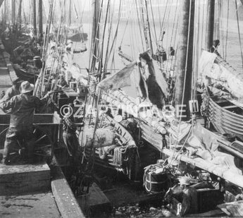 Vtg Antique 1900s Fishing Boat Unloading At Dock Boston Fish Pier Photo #2535