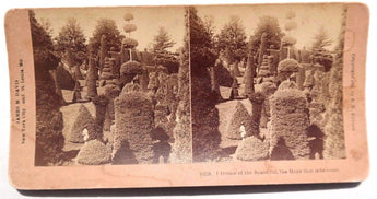 Vtg 1895 STERIOVIEW Card by B. W. Kinburn (I Dream Of The Beautiful Garden)