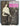 Fille de Joie Hardcover Book of Courtesans Sporting Girls Ladies of the Evening