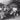 Vtg 1949 Black & White Photo - Funny Comedy Boys Band (Mariachi Band) #575