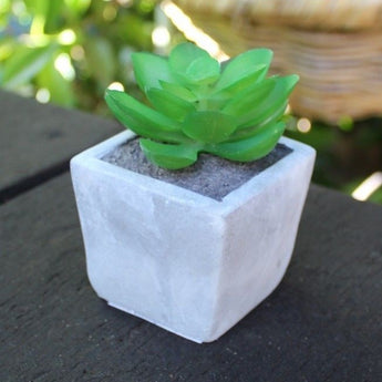 Mini Artificial Industrial Concrete Succulent Plant Desktop Vase Floral Decor