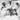 Vintage 1940s 1950s El Comino College Cheerleaders Team Photo #2730