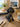New Black Gold Textured Poodle Dog Mid Century Modern Figurine Statue Decor
