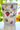 New Beach Party Summer Palm Treees FRUIT Lobster UMBRELLA Ice Bucket Vase