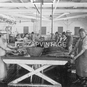 Vtg Antique 1900s Butchering Salmon Canning Establishment Oregon Photo #2530