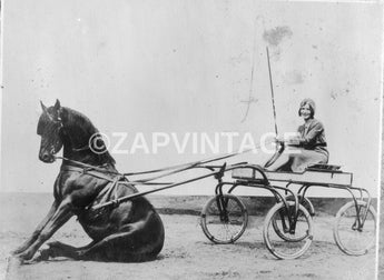 Vtg 1900's Girl Trying To Go Fishing Horse Sitting Pulling Her Wagon Photo #2899