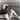 Vintage 1946 Sexy Marilyn Monroe On Beach Boardwalk Posing Photo #3030