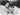 Vtg Black & White Elizabeth Taylor & Rock Hudson In The Move GIANT Photo #1286