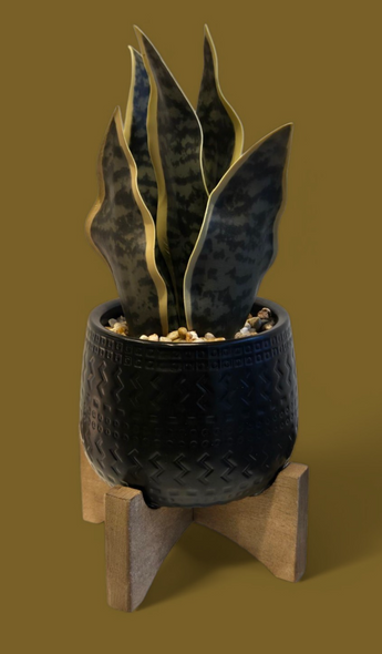 New Faux Snake Modern Artificial Decorative Small Desk Plant Black Pot