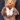 Vtg 1988 Wood Robert Raikes Collectibles Signed Teddy Bear - Jason 7636/10000