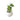 New Artificial Succulent In White Pot Desk Tabletop Fake Plant Room Home Decor