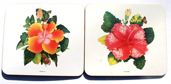 2 Vintage Hawaiian LARGE Tropical Flower Hawaii Tiki Coaster Tray 8.5" X 7.5"