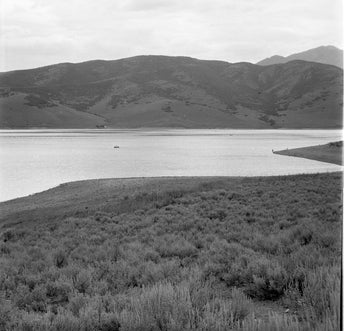 Vtg 1954 Provo Utah State Lake Nature Water Photo #1451