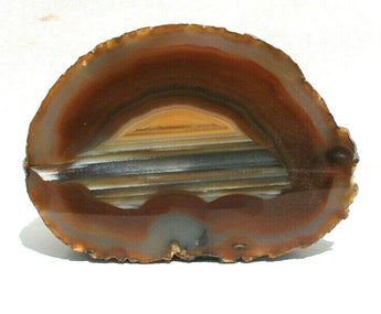 Cut & Polished Agate Brazil Nodule Specimens (Agate Stone Geode) 44.8 oz 2.8 lbs