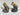 Vintage Chalkware Head Up Braying Donkey Heads Salt and Pepper Shaker Set