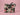 New Travel Betsey Johnson Insulated Lunch Tote Bag Zip Top Cow Print W/ Roses