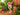 New Pink Tropical Pink Flamingo Head Decorative Flower Table Vase Room Decor