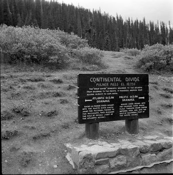 Vtg 1955 Continental Divide Milner Pass Sign Photo #1436