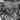 Vtg B&W 1920's - 1930's BETA PHI Frat Photo (Frat Group) Formal Dinner W/ Cigars
