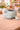 New Ceramic Indoor / Outdoor Blue Seal Animal Ocean Flower Planter Pot