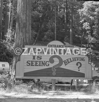 Vtg 1957 Confusion Hill Redwood Northern California Sign Photo Image #1755