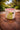 New Ceramic Indoor / Outdoor Green Parrot Tropical Flower Planter Pot