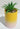 NEW Yellow / Pink Happy Halloween Pumpkin Ceramic Planter Plot W/ Succulents