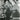 Vintage RARE B&W Portrait of ELVIS PRESLEY Filming Photo #187
