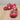 Pink Skechers x Snoop Dogg Arch Fit Footsteps-Rollin N Gold Women's Slip On